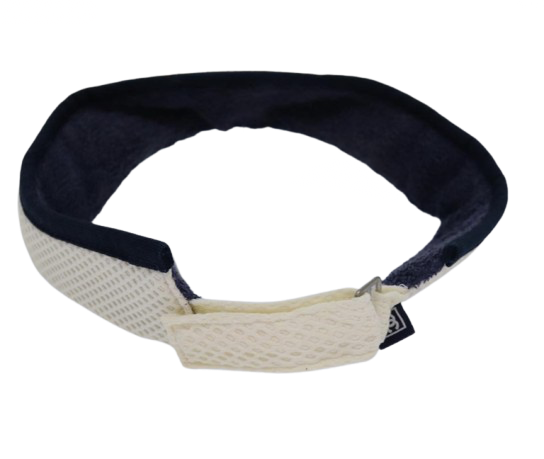 Taylor Visor