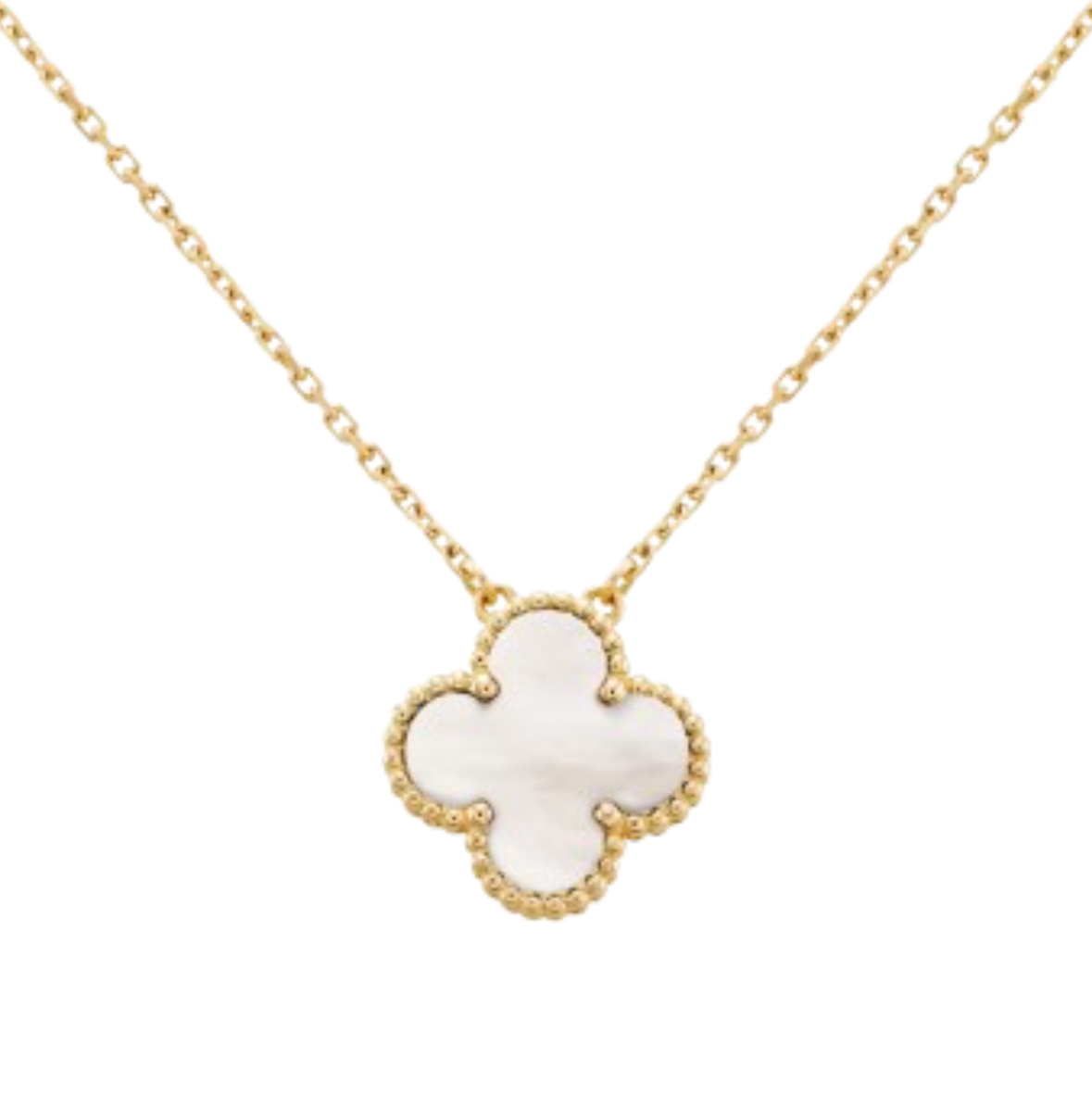Collar Cleo