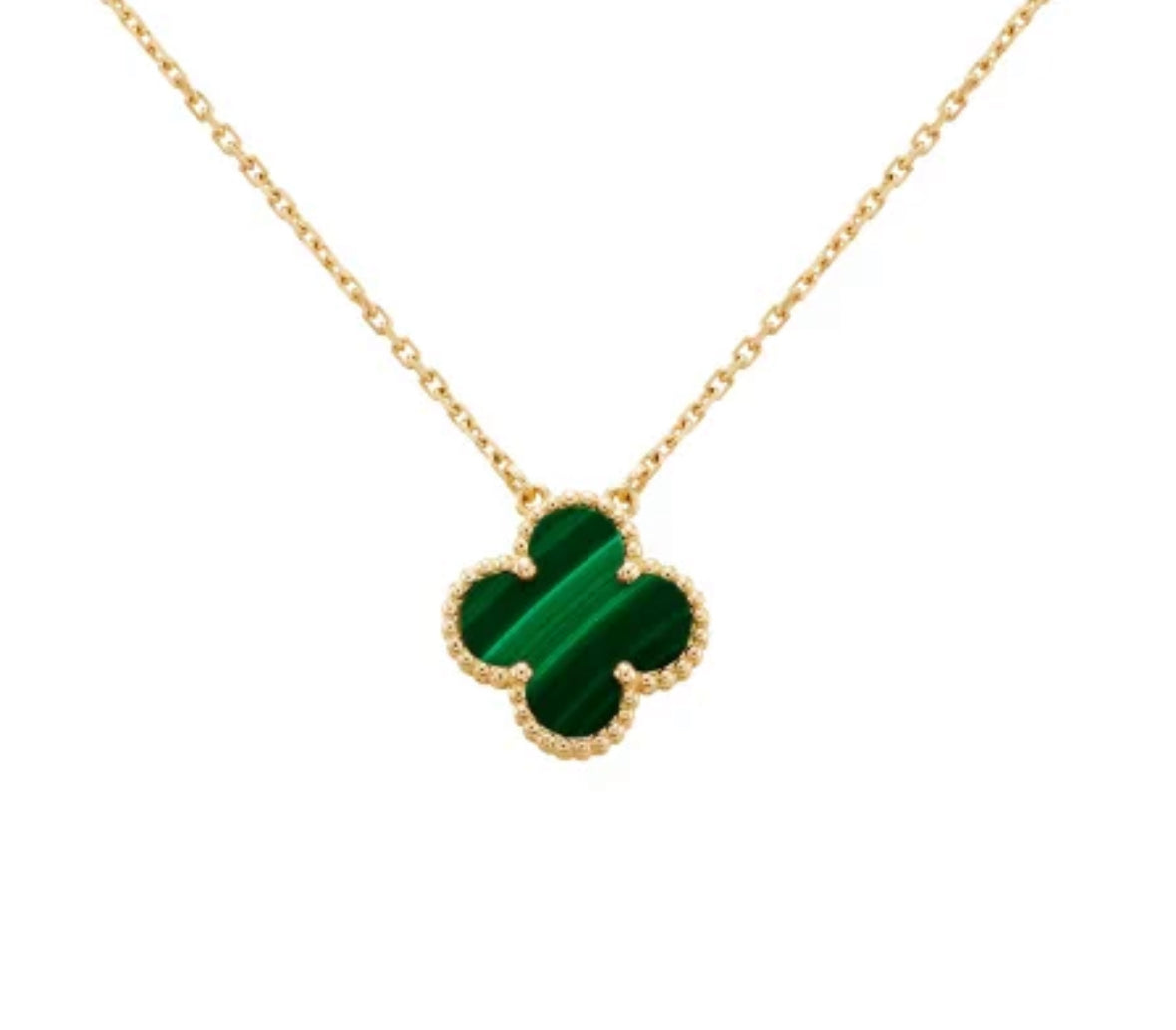 Collar Cleo